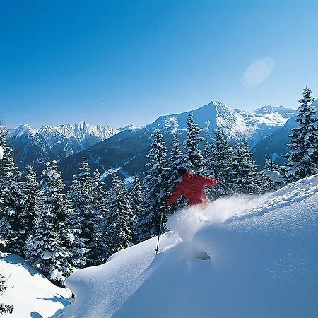 珀斯特酒店 4* 巴德加斯坦